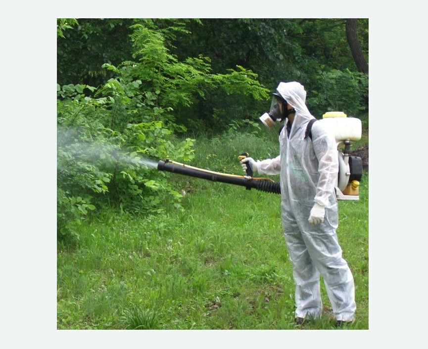 обработка территории от клещей в Рузаевке