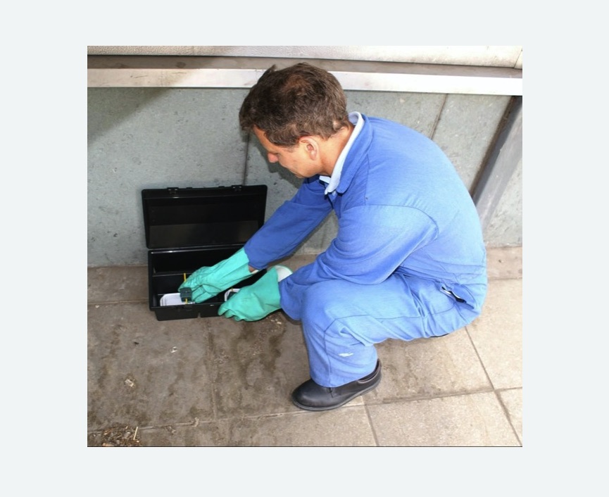 Дератизация помещения в Рузаевке Дератизация помещения