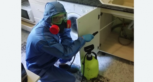 Уничтожение муравьев в квартире. Рузаевка