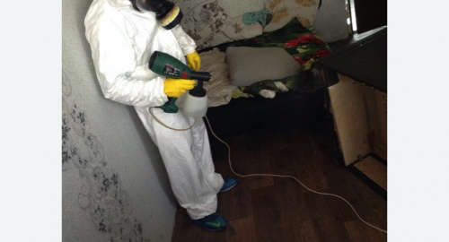 Обработка квартир от насекомых в Рузаевке