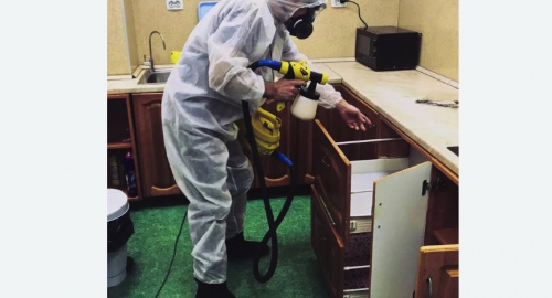 Дезинсекция квартиры. Рузаевка