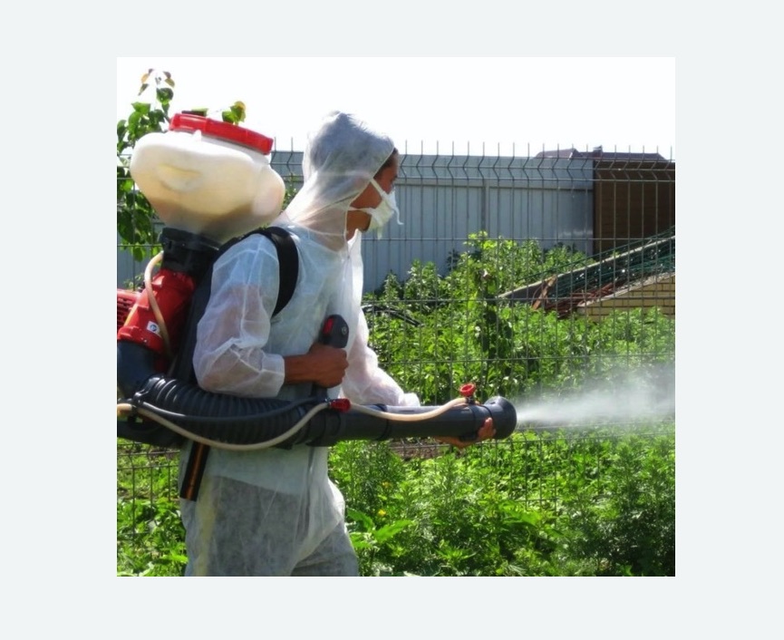 Акарицидная обработка территории в Рузаевке