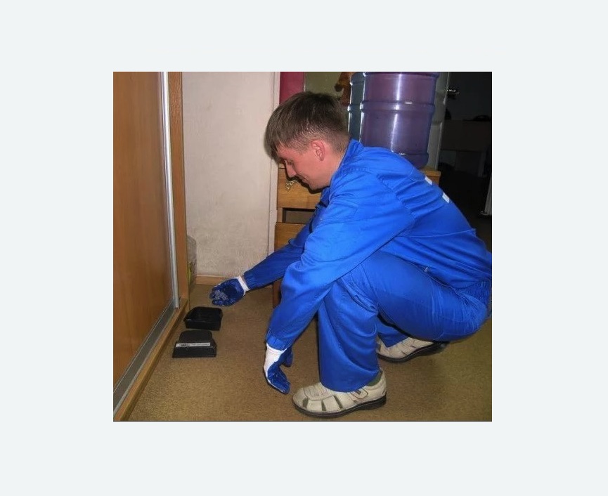 Дератизация крыс в Рузаевке