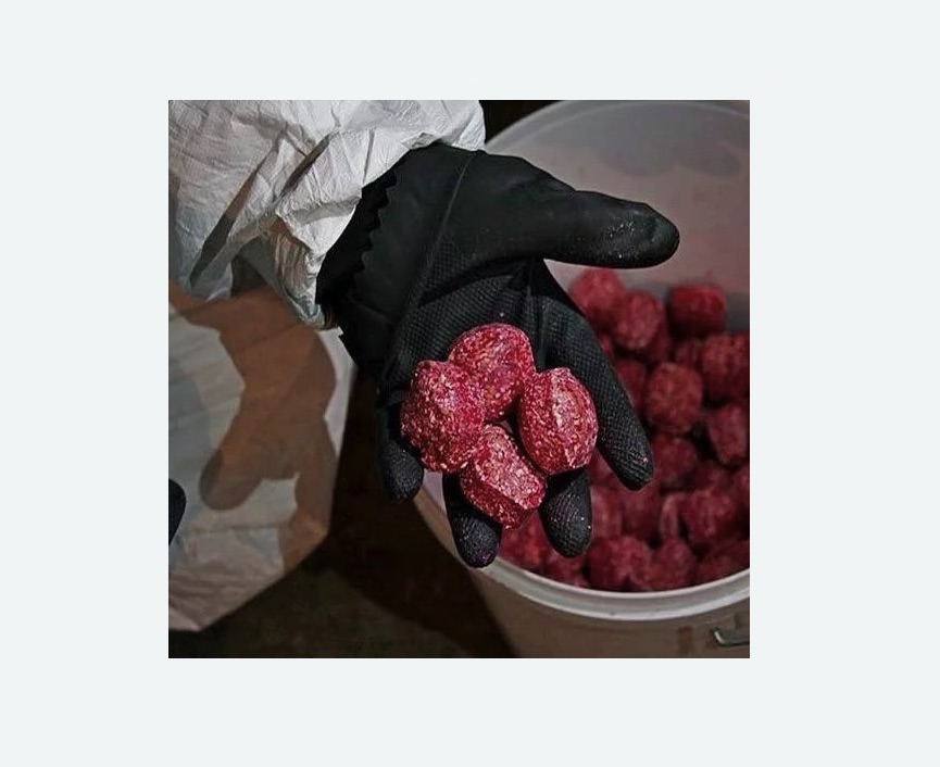 Обработка от крыс в Рузаевке