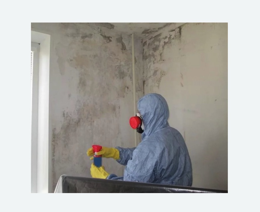 Удаление плесени в квартире в Рузаевке