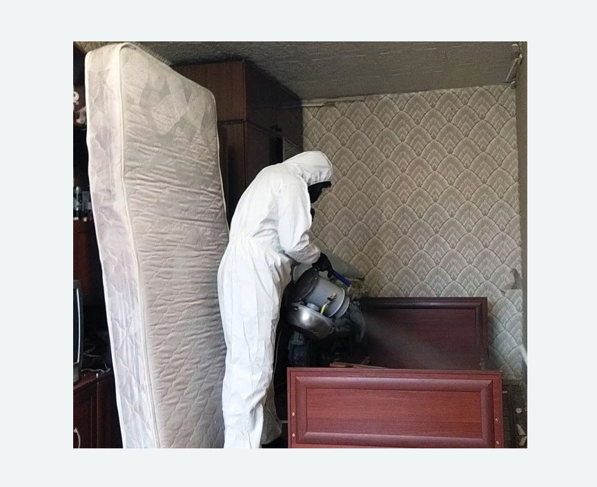 дезинфекция от клопов в Рузаевке