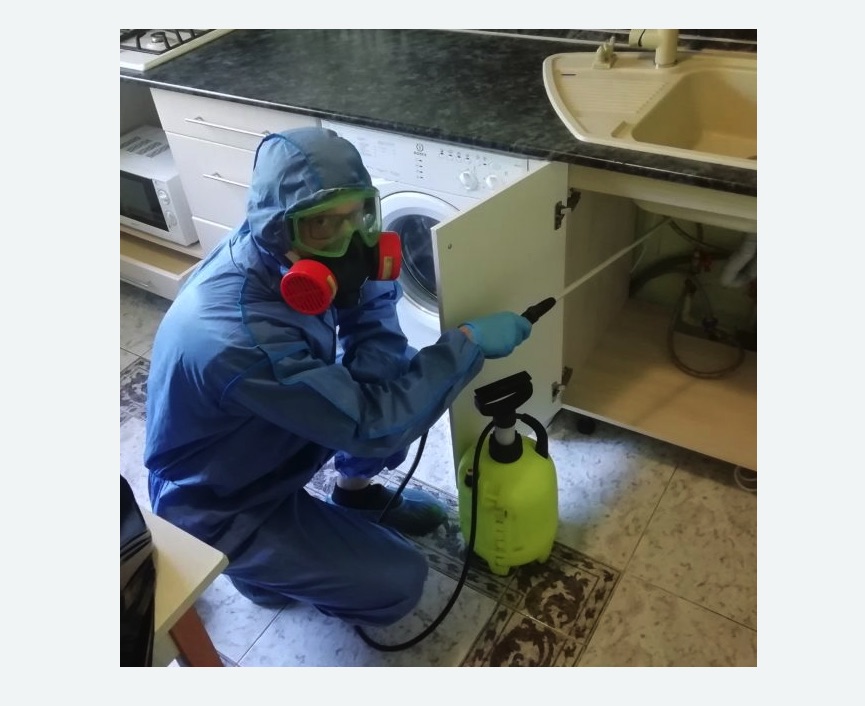 обработка от муравьев в квартире в Рузаевке