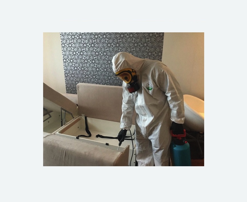 уничтожение клопов в квартире в Рузаевке