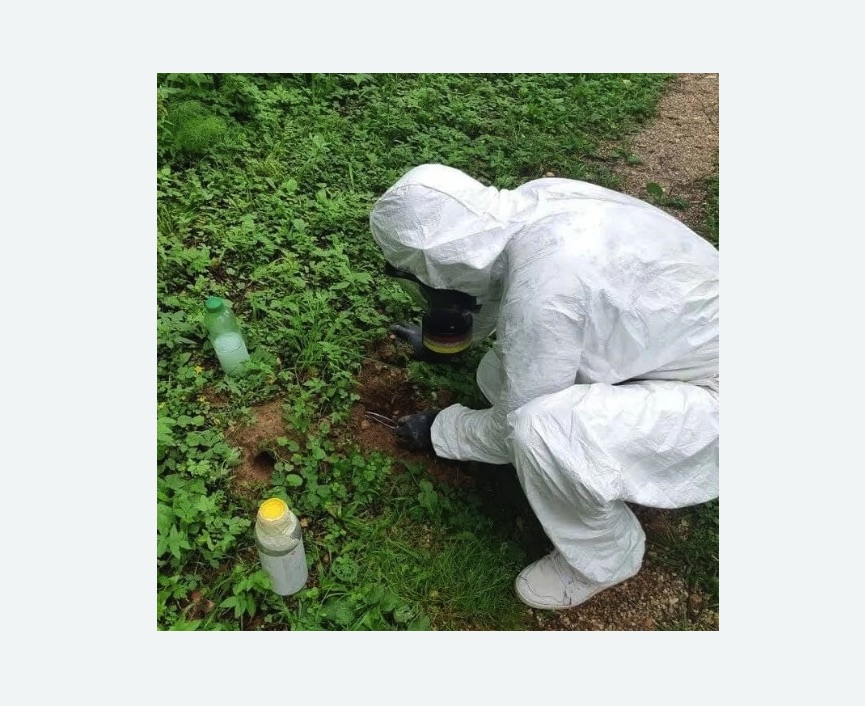 уничтожение кротов на участке в Рузаевке