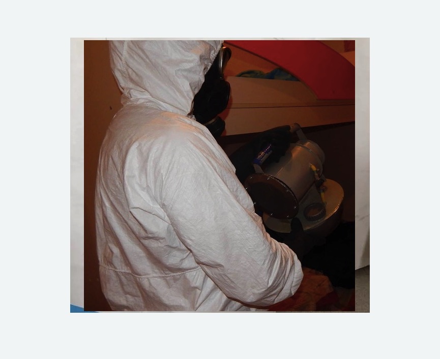 Дезинфекция от муравьев в Рузаевке