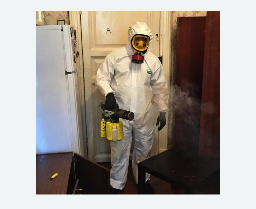 уничтожение муравьев в квартире в Рузаевке